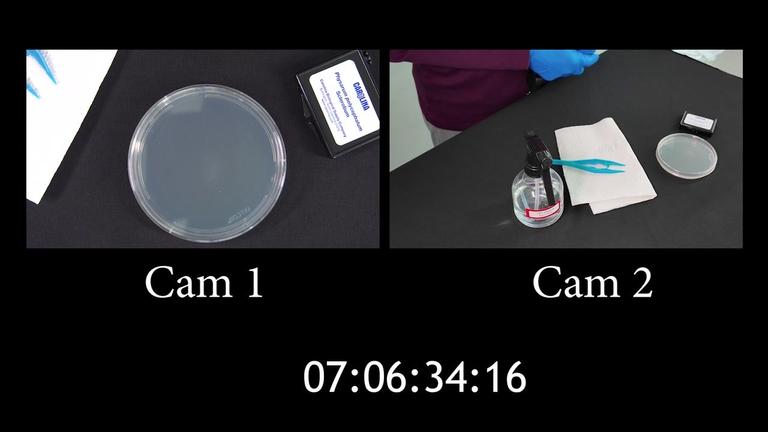 DAY 4 TWO CAM Timecode