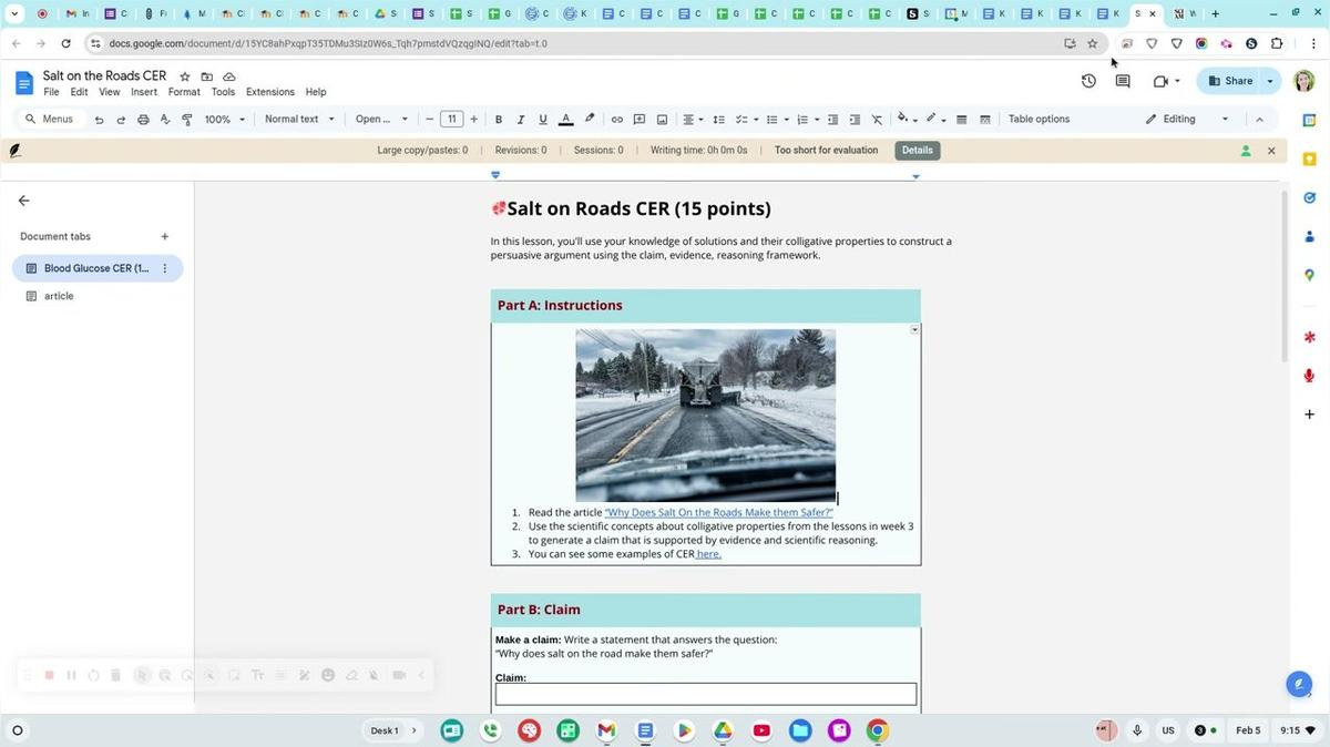 Example CER Salt on the Roads