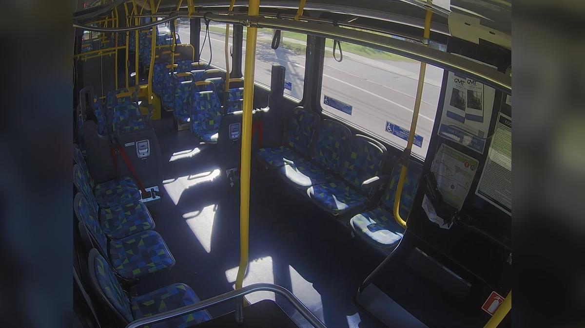 344Oct15Wedpm.NH16v2Caddy_ch03