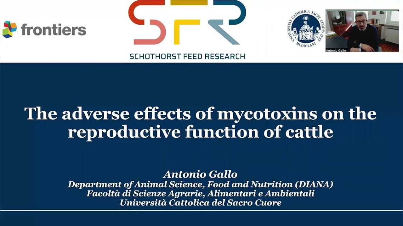 The adverse effects of mycotoxins on the reproductive function of cattle