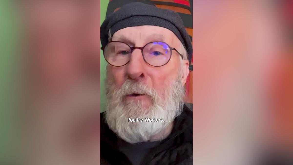 Legal Impact for Chickens_Exploitation_Vertical