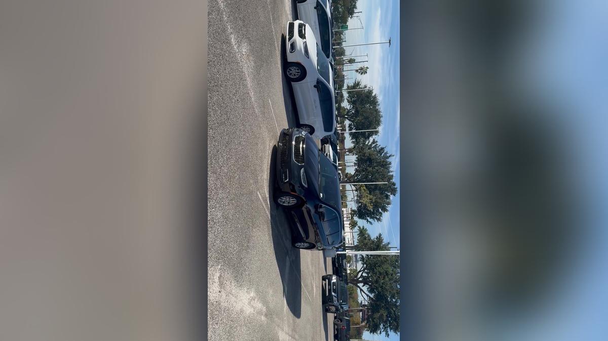 George thanksgiving video