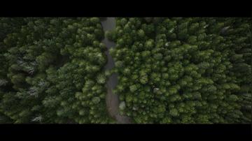 TD BANK - 1 x 150s Beyond Banking Cree Partnership Story (EN_Captions)