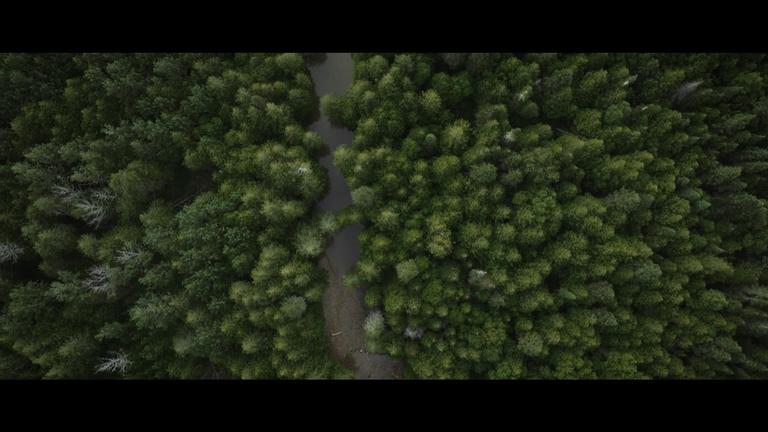 TD BANK - 1 x 150s Beyond Banking Cree Partnership Story (EN_Captions)