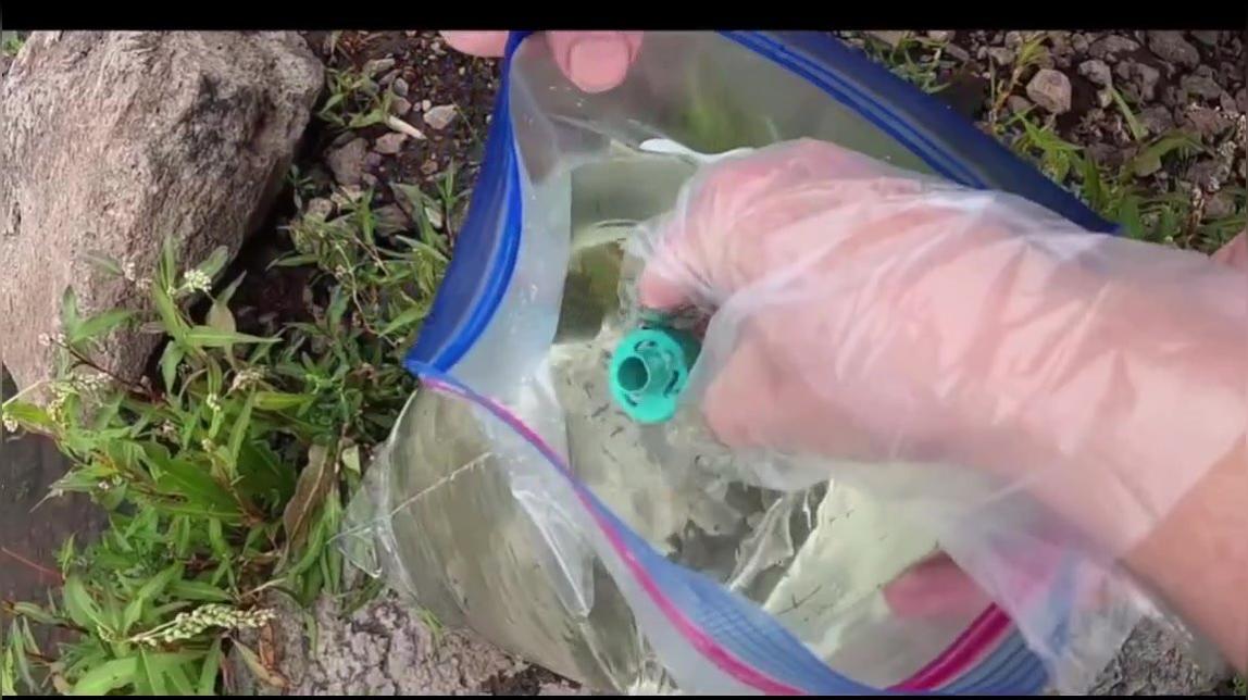 Science 7. Q3W1 Cyanobacteria Test