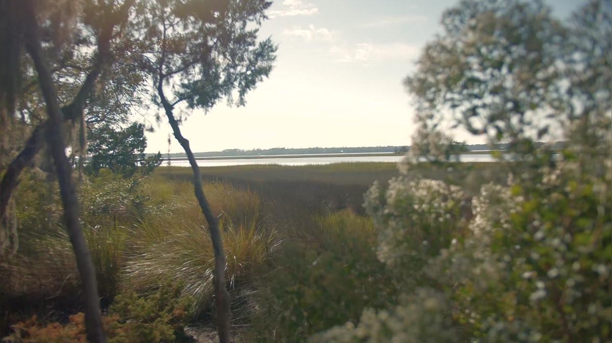 New Website - Crane Island Today