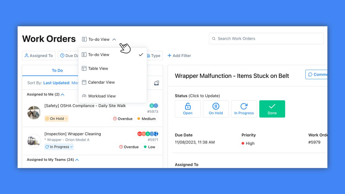 Work Order View Options