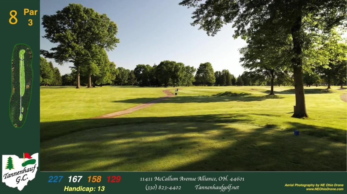 Tannenhauf Hole #8