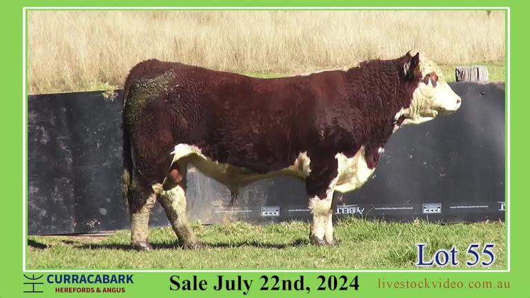 Lot 55