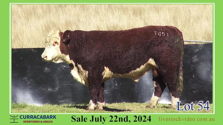Lot 54