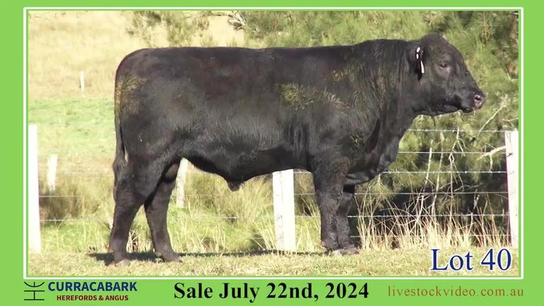 Lot 40