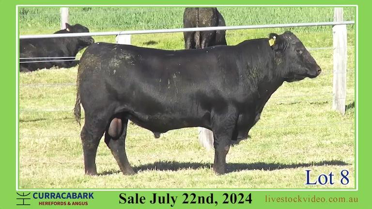 Lot 8