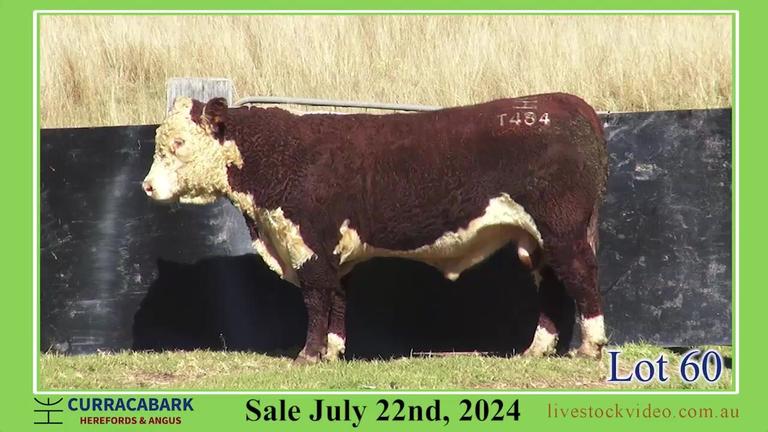 Lot 60
