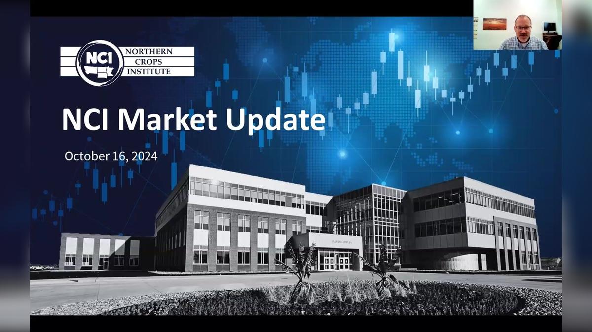 NCI Market Update with Allison Thompson