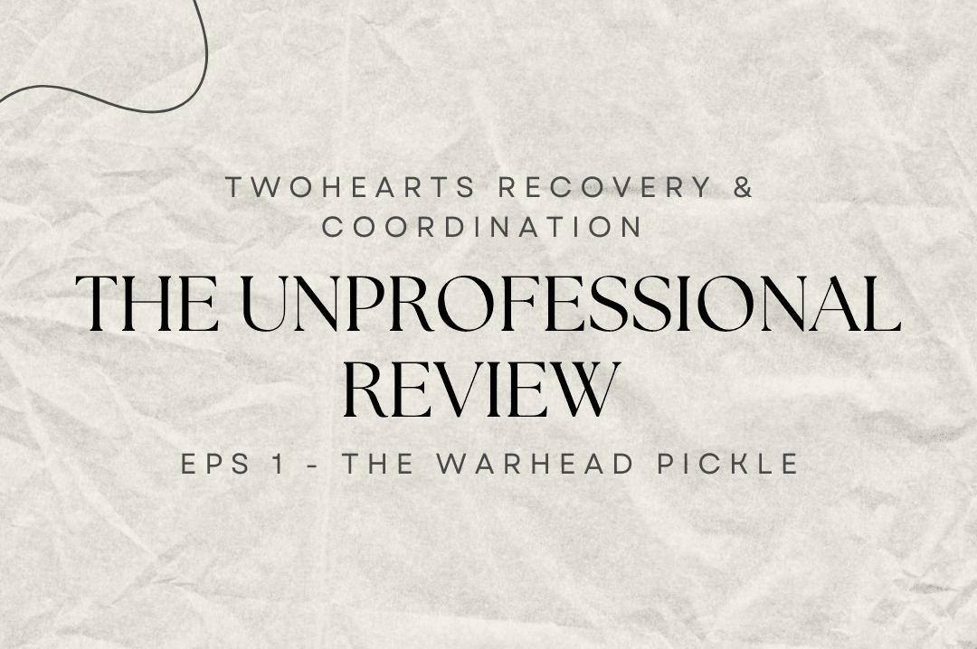 The Unprofessional Review - Funny!