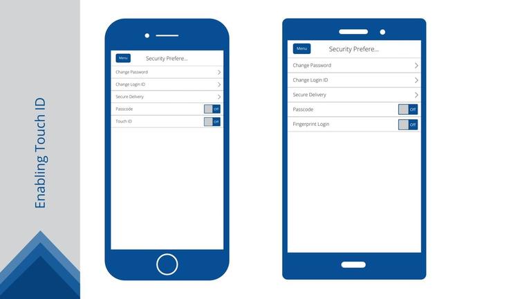 Enable/Disable Biometrics