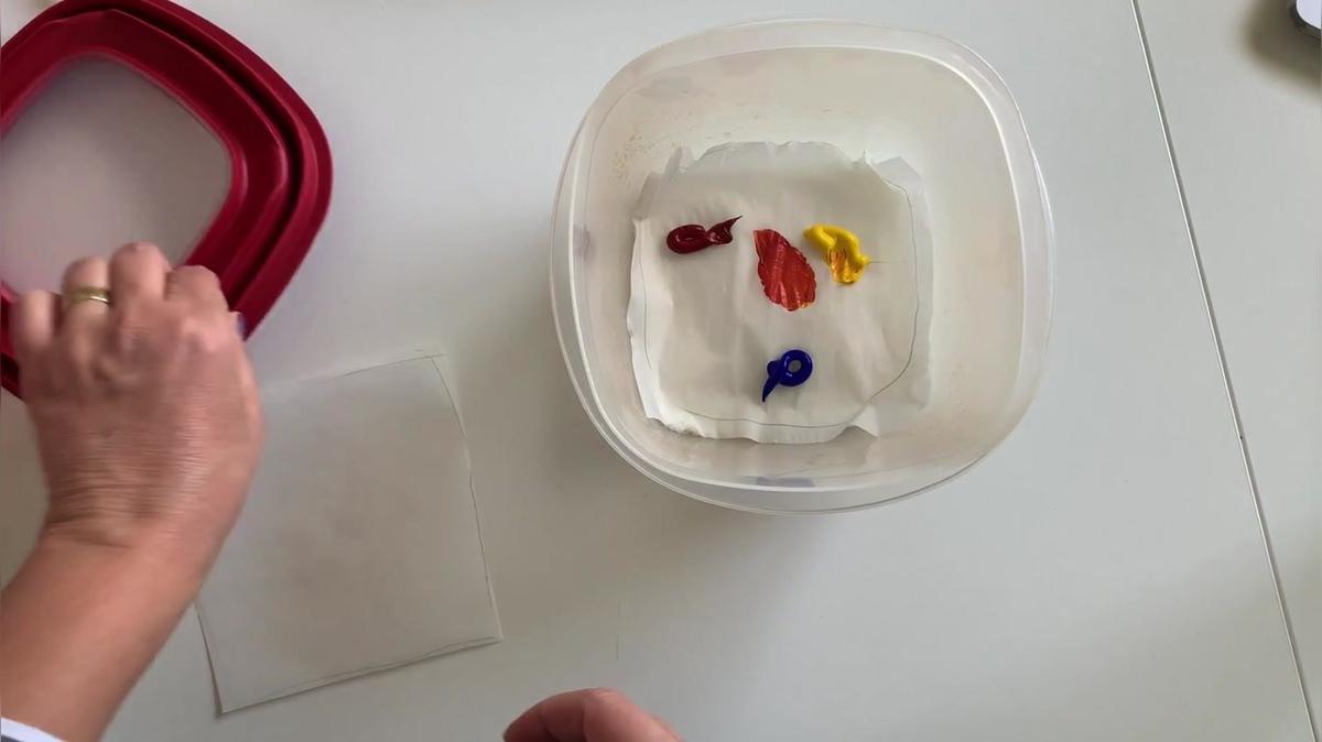 Setting up a Wet Palette.MOV