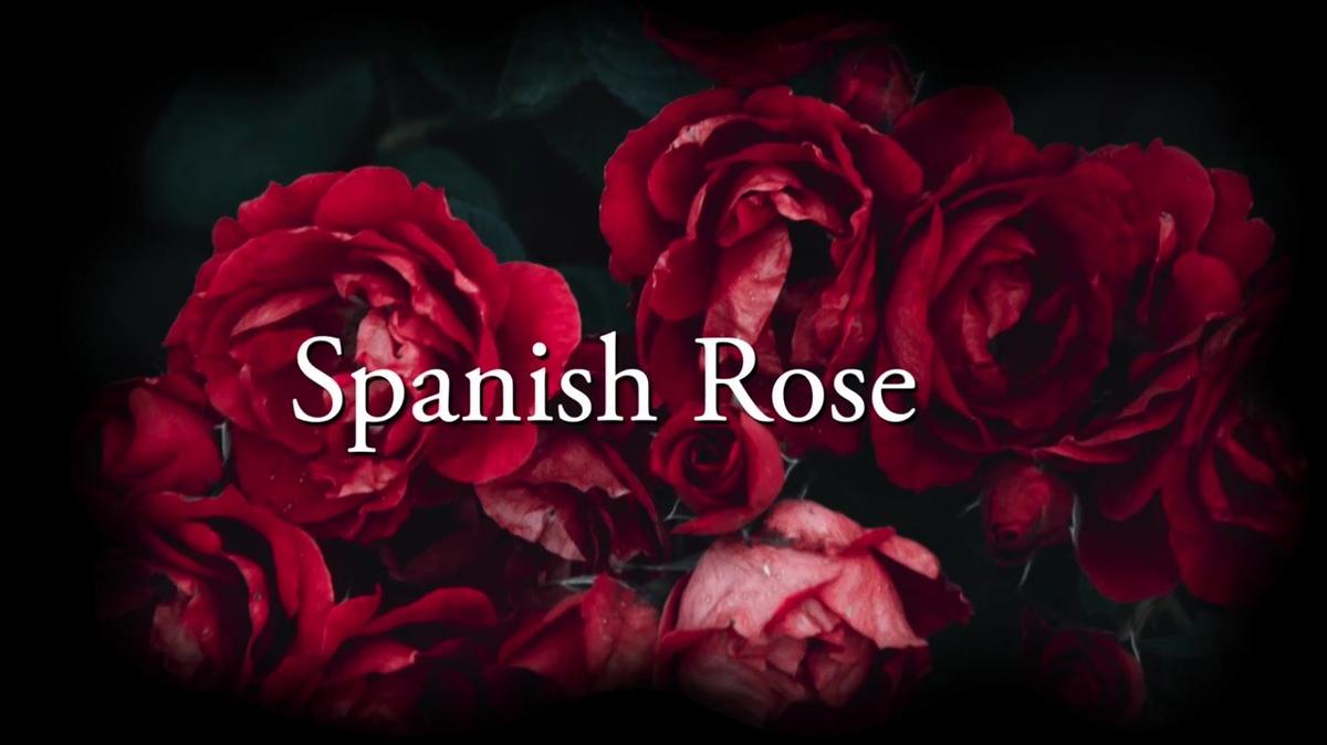 Spanish Rose Trailer