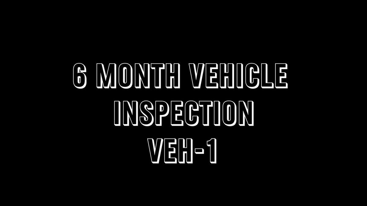 Paycom - 6 Month Vehicle Inspection Vehicle 1