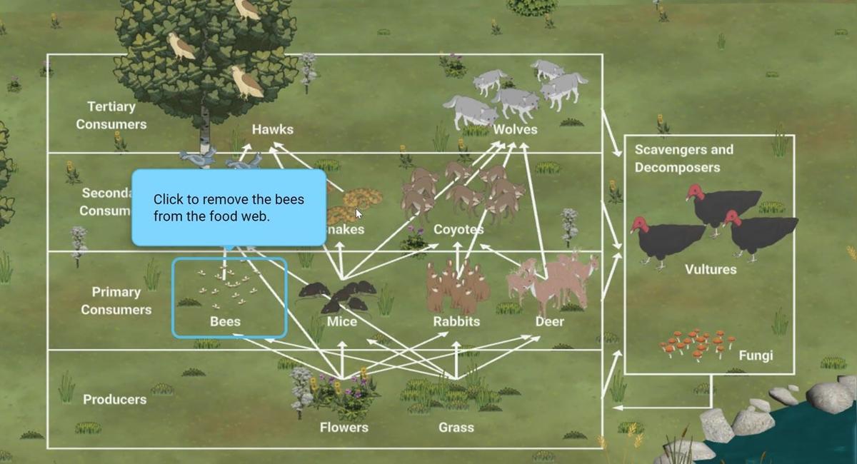 keystone species - stem case.mp4