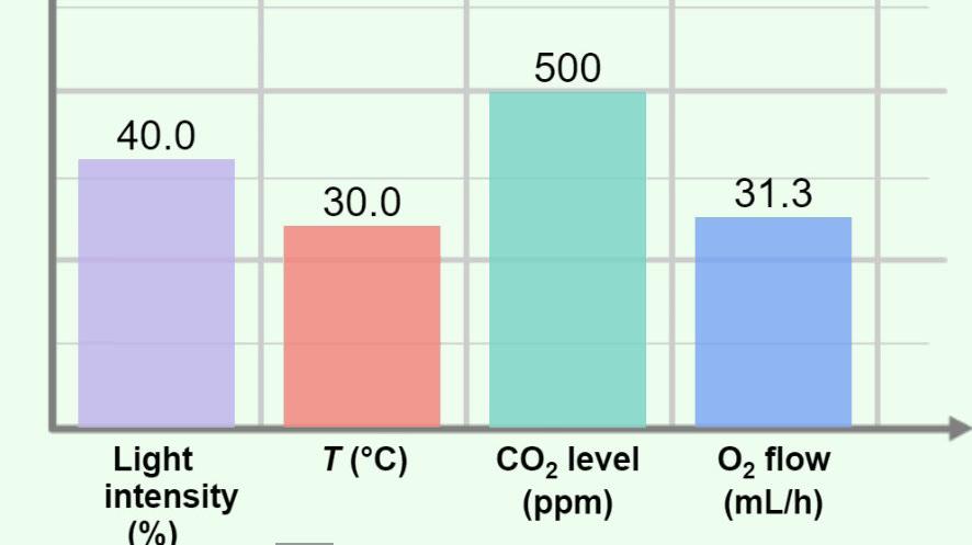 Light Intensity vs Oxygen - Plant and Snail