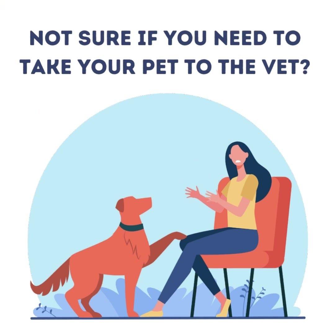 Active4pets Ad4