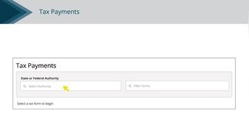 Tax Payments