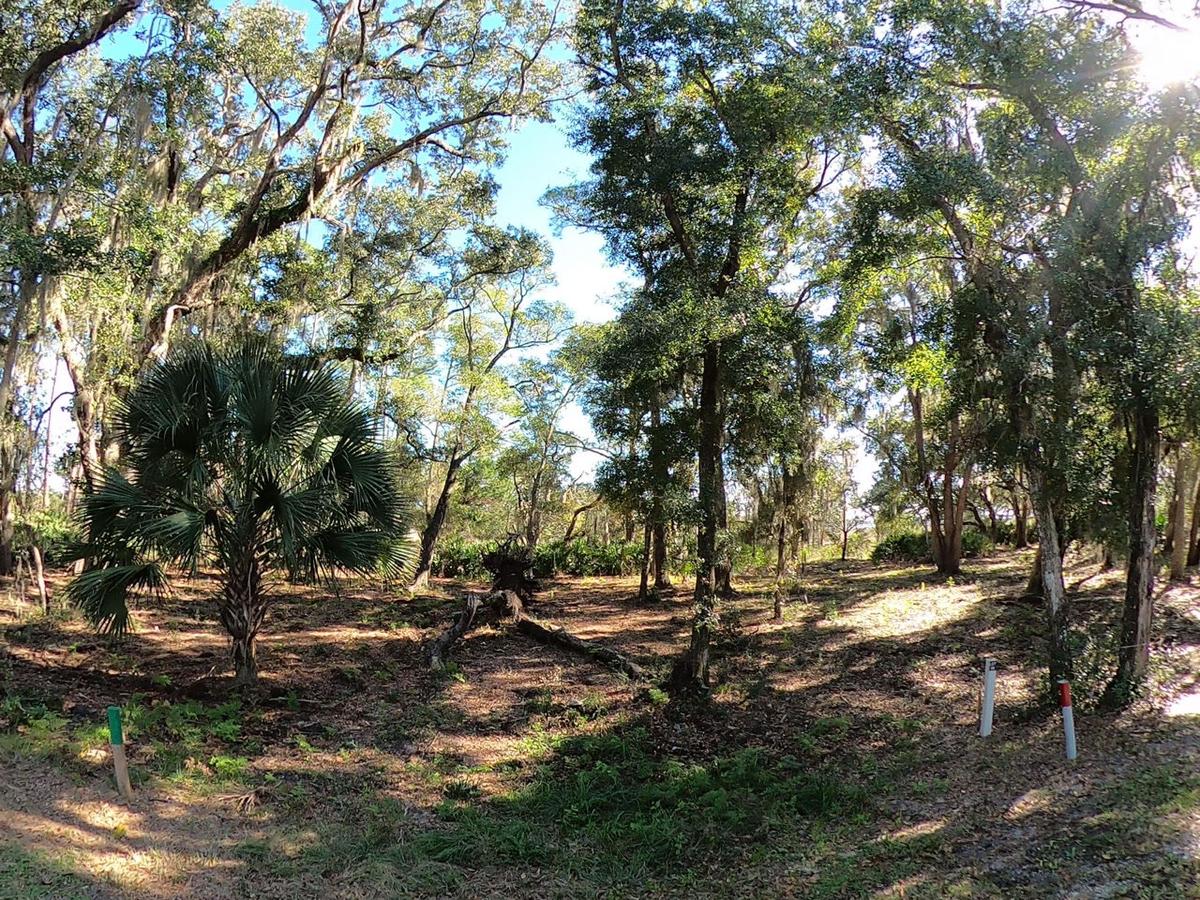 Lot 95 - Ride In - Jan 2021.MP4