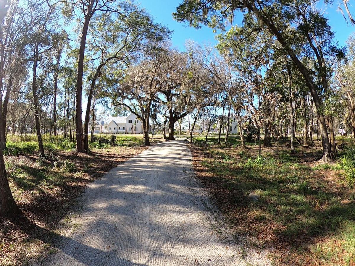 Trails &amp; Alice Park Minor - Jan 2021.MP4