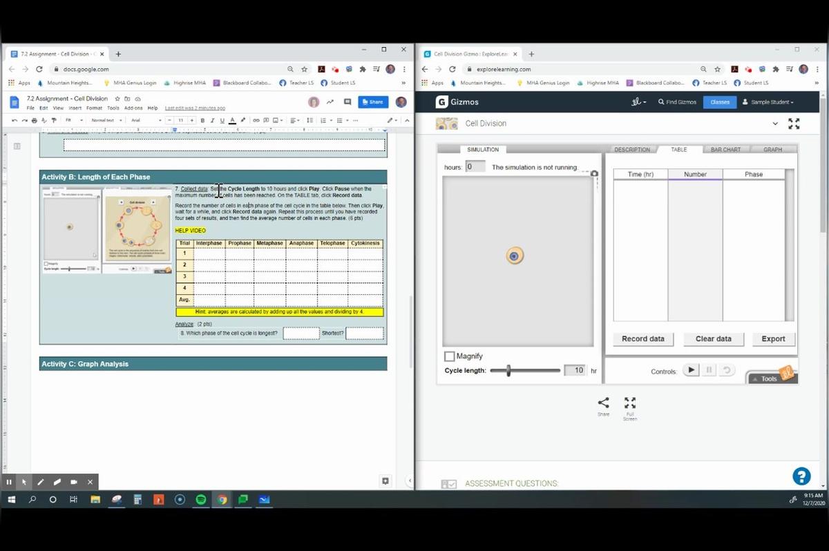 ASSIGNMENT: Cell Division Simulation help video