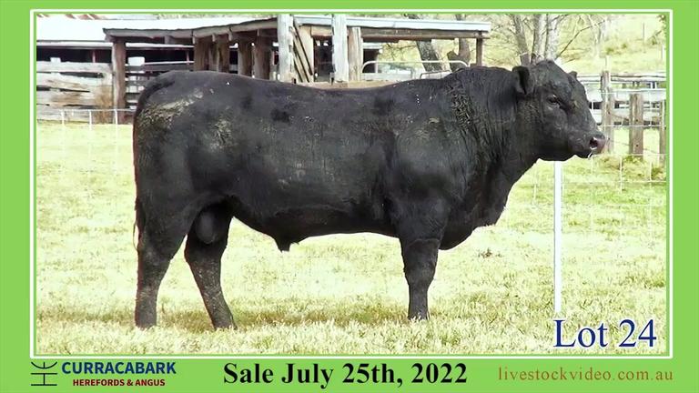Lot 24 Curracabark 2022