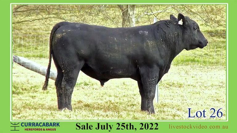 Lot 26 Curracabark 2022