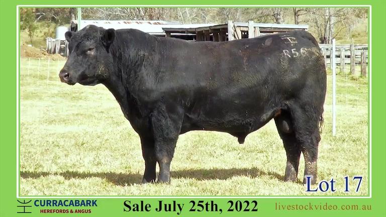 Lot 17 Curracabark 2022