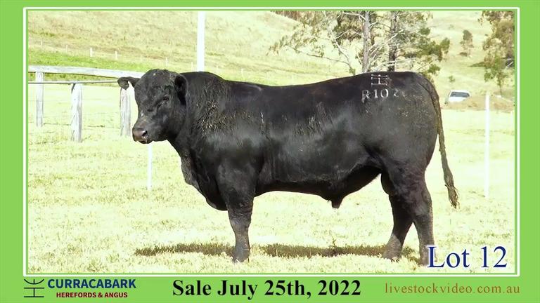 Lot 12 Curracabark 2022