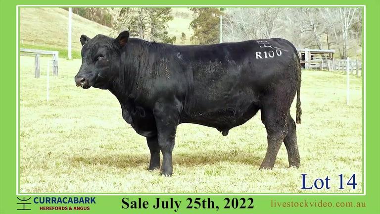 Lot 14 Curracabark 2022
