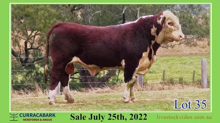 Lot 35 Curracabark 2022
