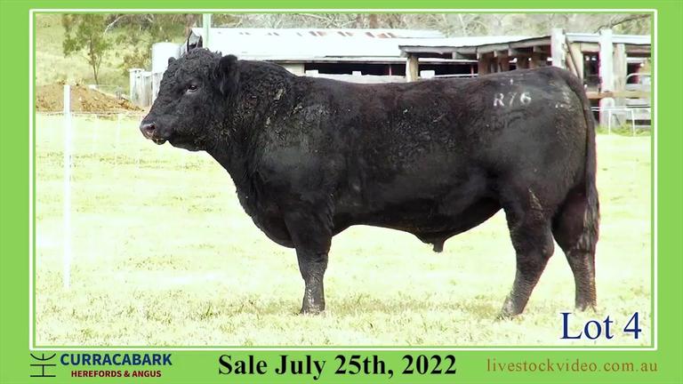 Lot 4 Curracabark 2022