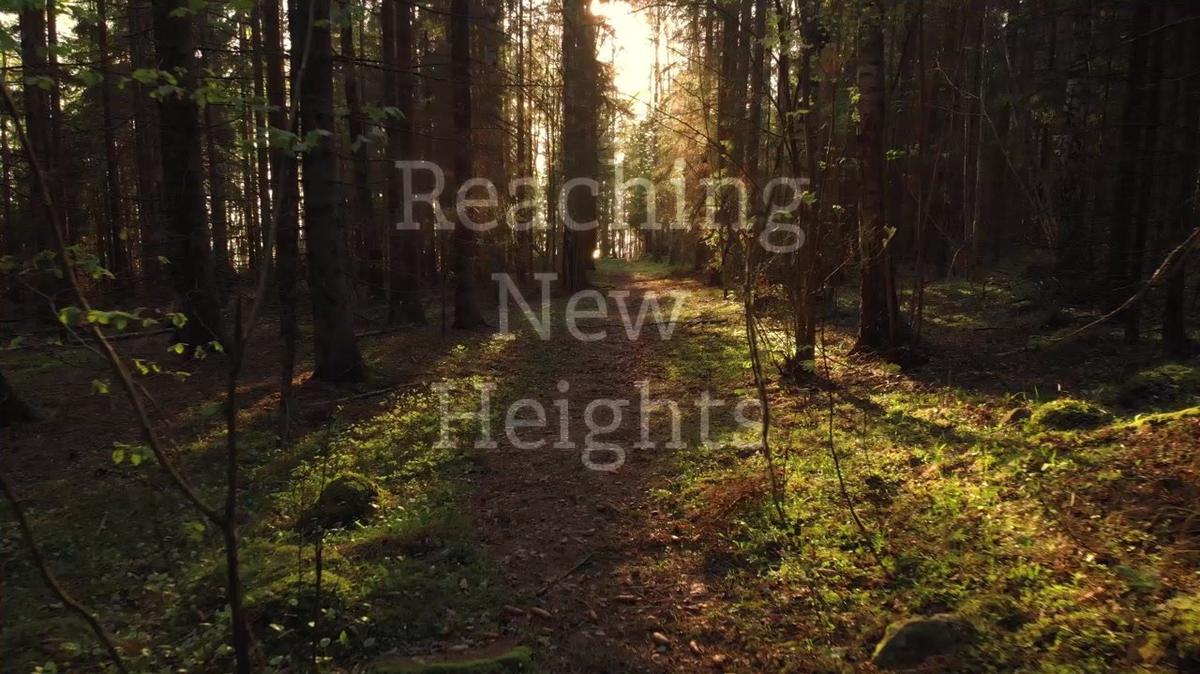 Reaching New Heights - Session 8 - Centering