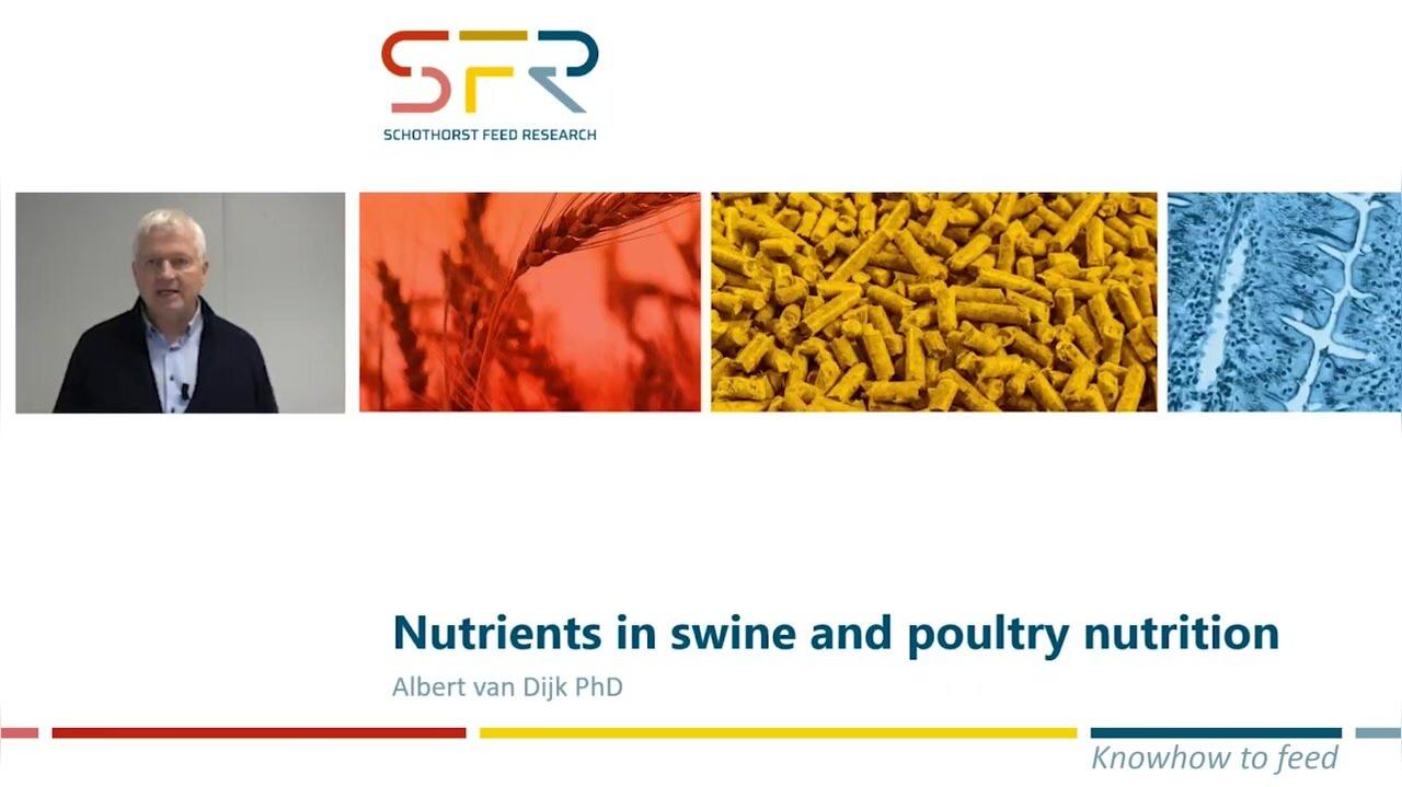 Nutrients in swine and poultry nutrition