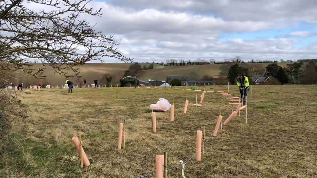 Volunteers dig deep to plant 1,000 trees