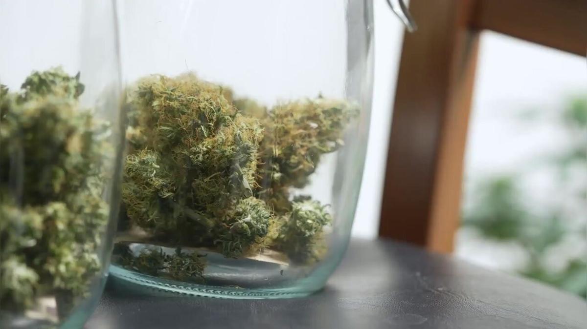 Steht die Cannabis-Legalisierung vor der Tür?