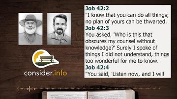 #15 Wisdom & Job