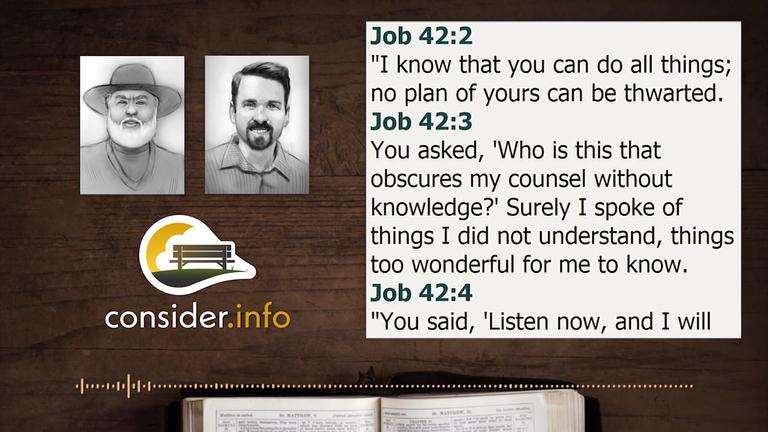 #15 Wisdom &amp; Job