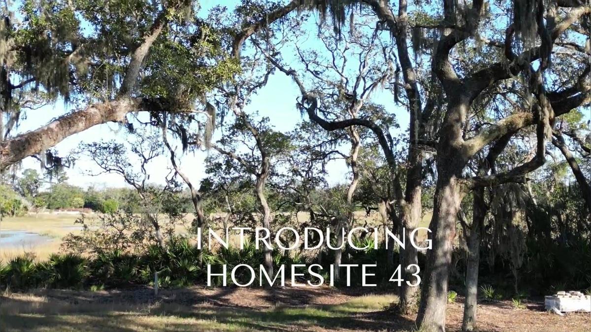 Homesite 43