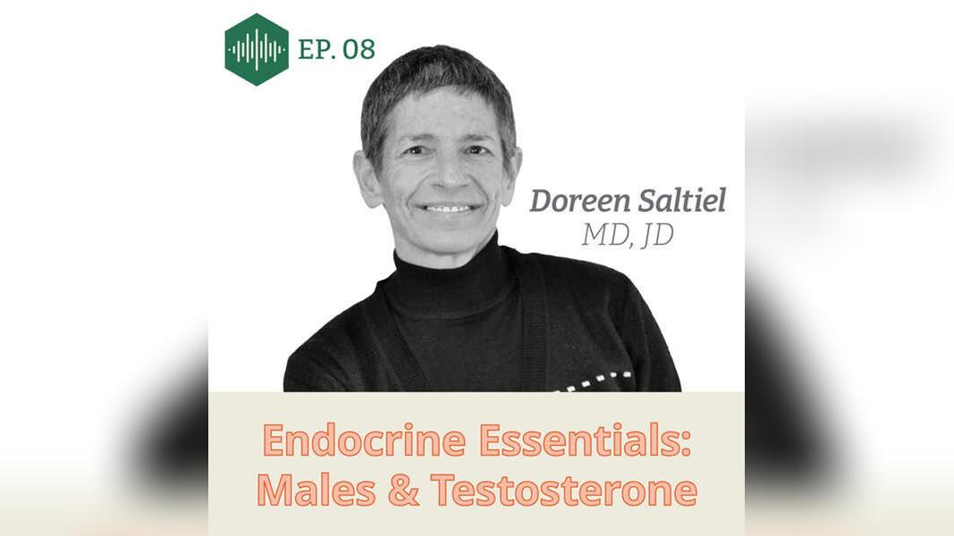 Episode 8, Dr. Doreen Saltiel, Endocrine Essentials: Males &amp; Testosterone