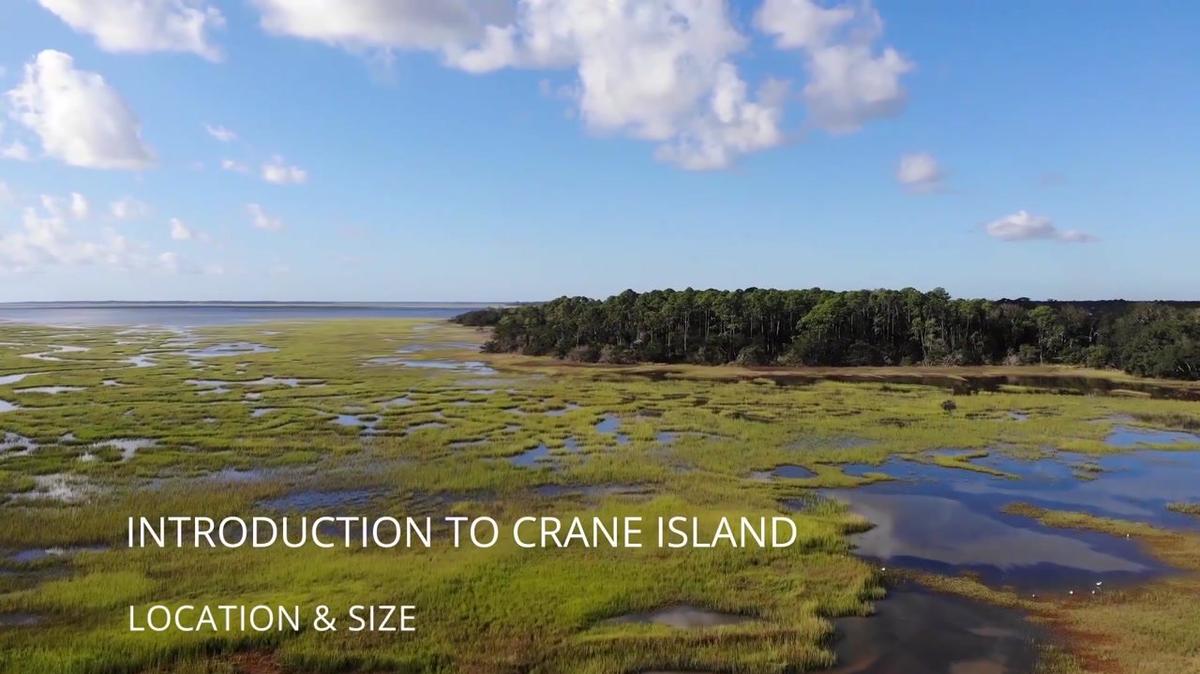 Introduction To Crane Island