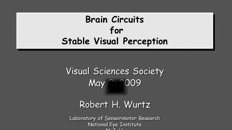 Robert H. Wurtz "Brain Circuits for Stable Visual Perception"
