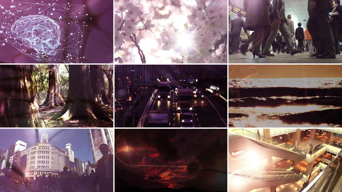 APA_SPICE_ImageMovie_529B.mp4