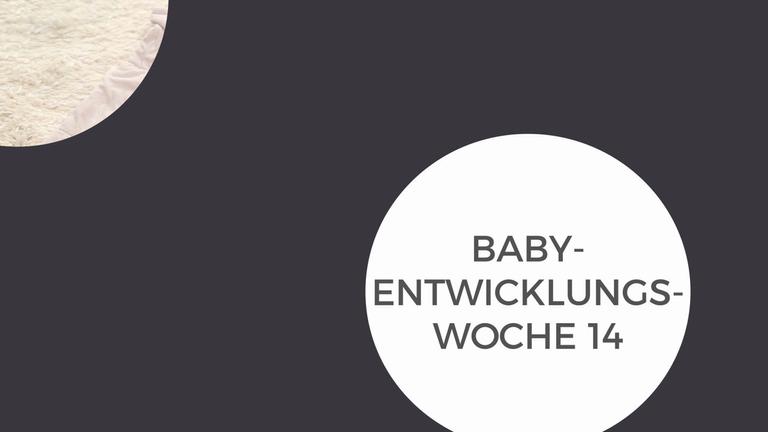 Baby-Entwicklungswoche 14