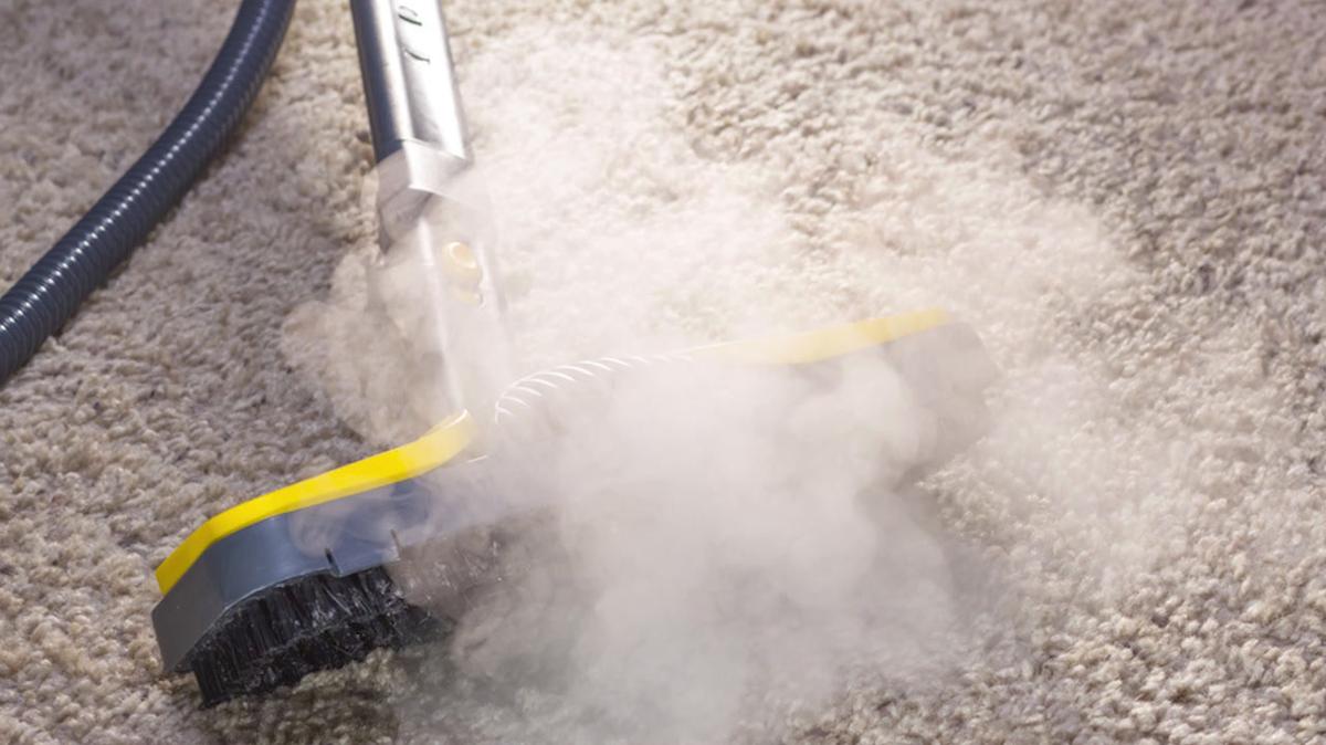 Carpet Cleaning in New York NY, True Look Carpet Cleaning